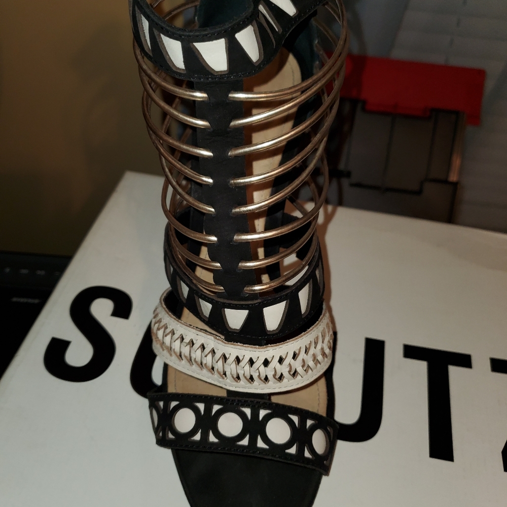 Schutz shoes